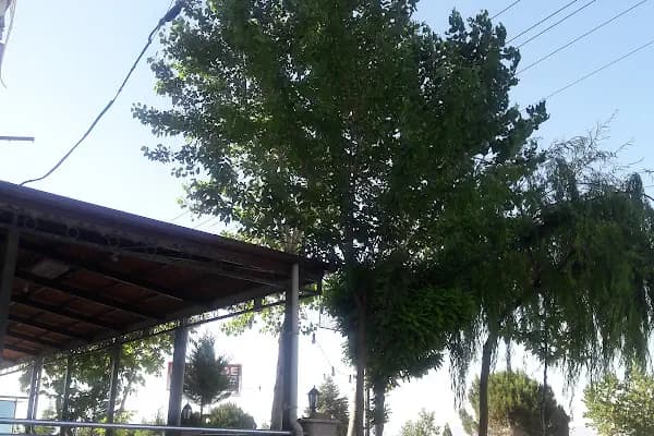 Sözgen Restoran - Restoran - Denizli Acıpayam