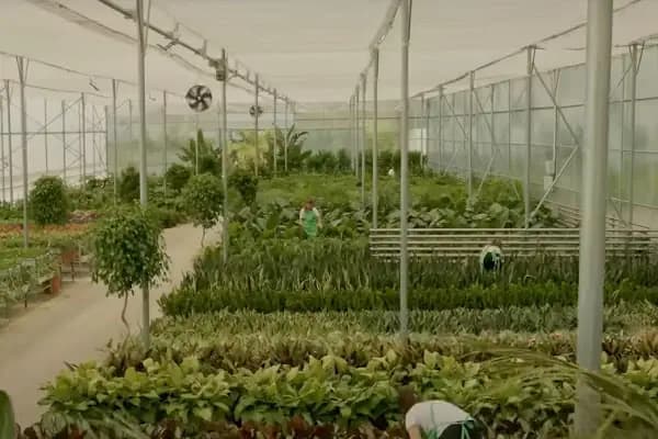 Fidan Burada Tarım Hayv. İç Ve Dış Tic. San. Ltd Şti. Fidanlık Ve Operasyon Merkezi Ofisi - Kurumsal Ofis - İzmir Bayındır