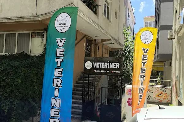 Vetirix Veteriner Kliniği - Veteriner - İstanbul Küçükçekmece