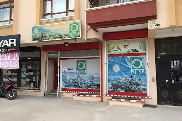 üç kardeşler karapürçek petshop - Evcil hayvan mağazası - Ankara Altındağ