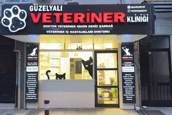 Güzelyalı Veteriner - Veteriner - İzmir Balçova