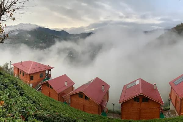 Oşvacu Dağ Evleri - Otel - Rize Çamlıhemşin