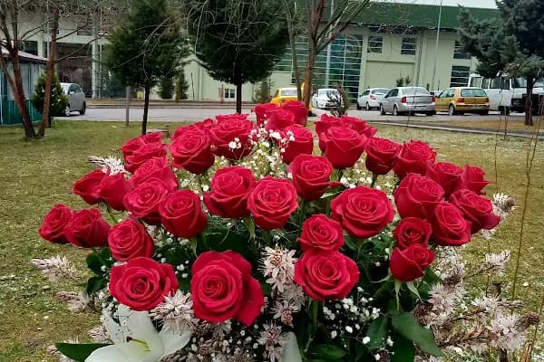 Çiçek KEYFİ - Çiçekçi - Ankara Akyurt