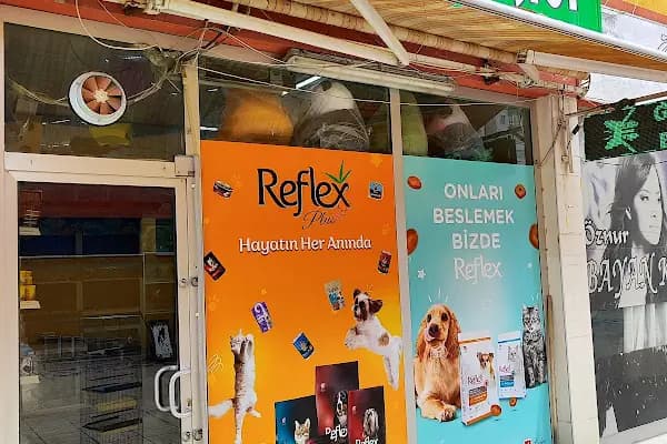 Gazi Oglu Akvaryum Pet Shop - Evcil hayvan mağazası - Konya Selçuklu