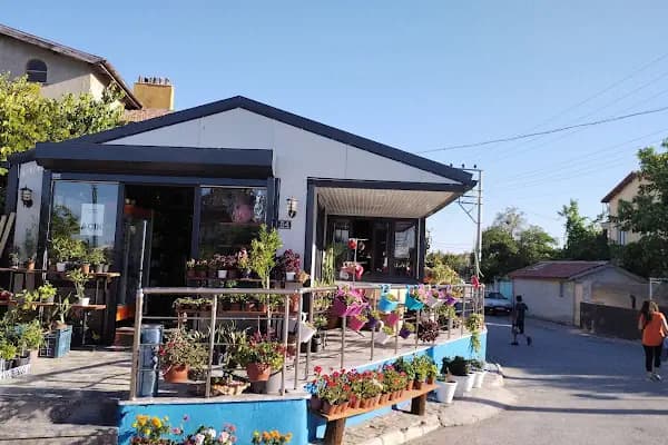 Yelpaze Çiçekçilik Çikolata Tablo - Çiçekçi - Konya Karatay