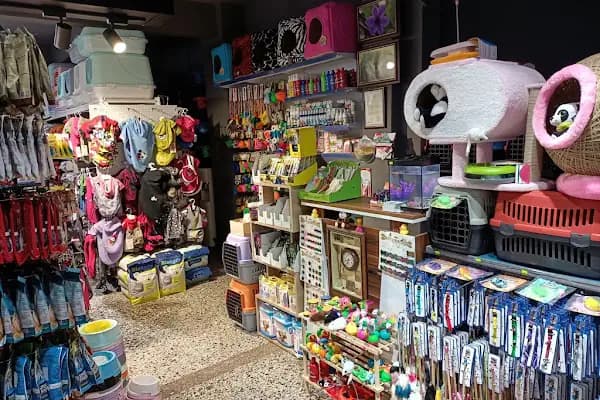 Arda Pet Shop - Evcil hayvan mağazası - Gaziantep Şehitkamil