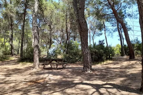 Çiçekli Tabiat Parkı - Milli Park - İzmir Buca