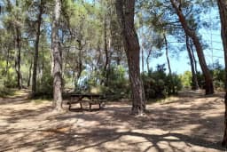 Çiçekli Tabiat Parkı