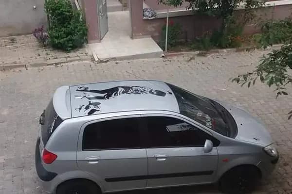 Havsa İlçe Halk Kütüphanesi - Kütüphane - Edirne Havsa