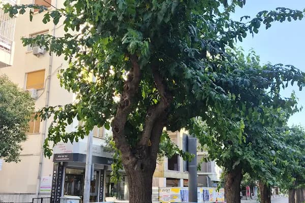 Hocazade Camii Tramvay Durağı - Ulaşım Hizmeti - İzmir Balçova