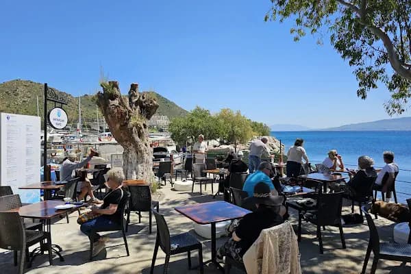 Akyarlar Mobil Cafe - Bodrum Belediye A.Ş. - Kafeterya - Muğla Bodrum
