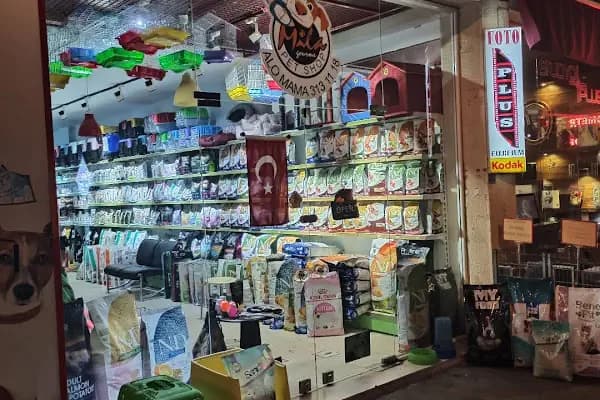 Sevpati Pet (Pet Pansiyon &amp; Pet Kuaför &amp; Pet Shop) - Yatılı Evcil Hayvan Hizmetleri - Muğla Bodrum