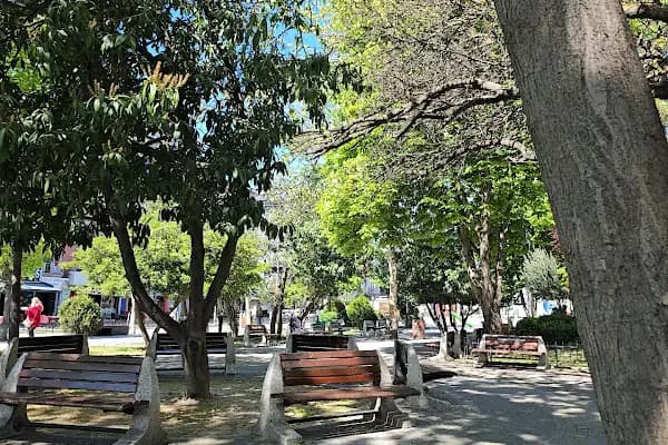 Zeytin Kafe - Kahve dükkanı - İstanbul Küçükçekmece
