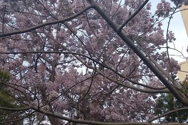 T.C. Bakırköy Belediye Başkanlıği Ataköy 1.Kısım Çocuk Parkı - Park - İstanbul Bakırköy