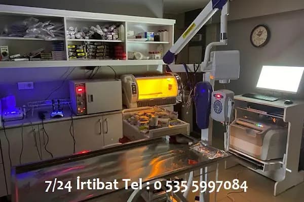 Anadolu Veterinerlik Bergama - Veteriner - İzmir Bergama
