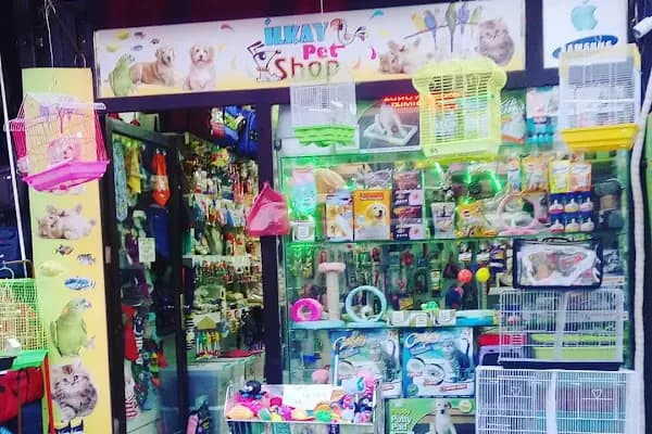 ilkay petshop-pet market - Evcil Hayvan Malzemeleri Mağazası - Bursa Osmangazi