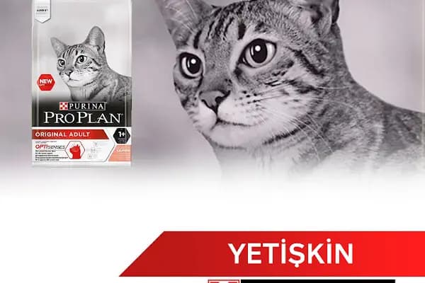 ÖZLEM PETSHOP &amp;AKVARYUM - Evcil Hayvan Malzemeleri Mağazası - Ankara Balâ