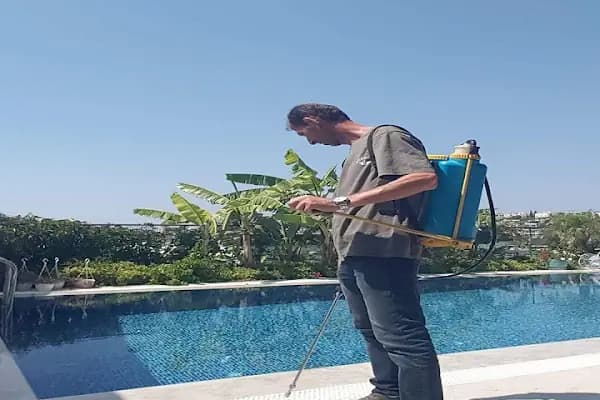 Haşere Avcısı Pest Hunter | Böcek İlaçlama - Haşere İlaçlama - Ev Ve Otel İlaçlama - Haşere İlaçlama Hizmeti - Muğla Akçaalan Mahallesi