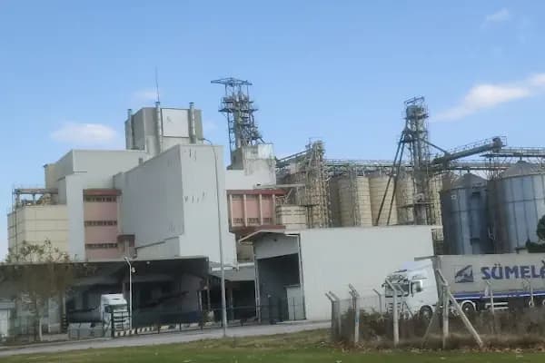 Cp Yem Fabrikası - Kurumsal Ofis - Bursa İnegöl