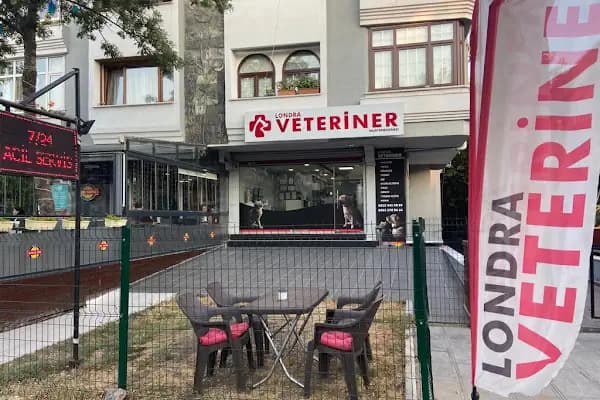 Londra Veteriner Kliniği 7/24 ACİL VETERİNER BAHÇELİEVLER - Veteriner - İstanbul Küçükçekmece