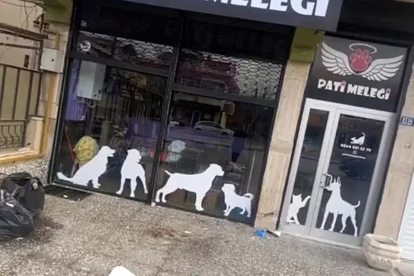 Pati Meleği Petshop - Evcil hayvan mağazası - Konya Beyşehir