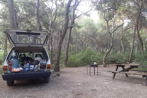 Çiçekli Milli Parkı - Ulusal park - İzmir Bayındır