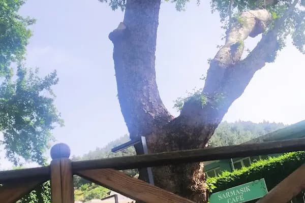 Kaynaklar Belediyesi - Resmi Kurum - İzmir Gaziemir