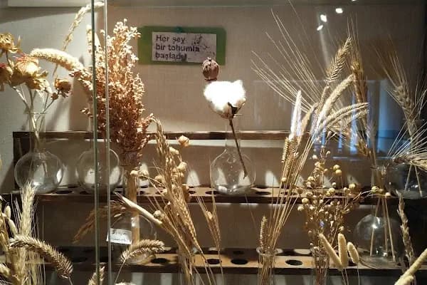Ziraat Fakültesi Müzesi - Müze - Ankara Keçiören