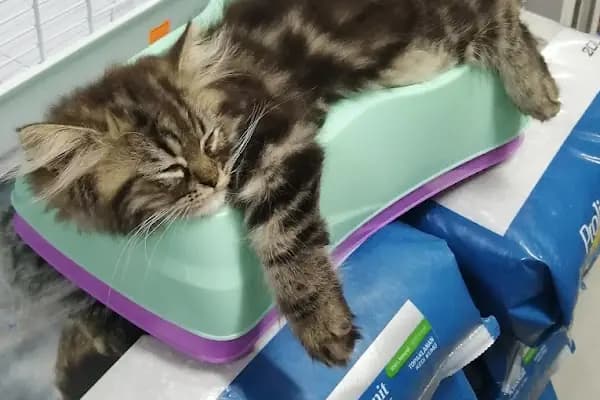 Ambarlı Petshop - Akvaryum - İstanbul Bağcılar