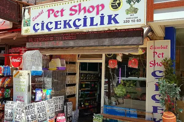 Sümbül Pet Shop Çiçekçilik - Çiçekçi - Ankara Çankaya