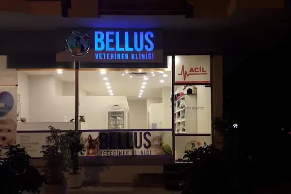 Bellus veteriner kliniği - Veteriner - Antalya Alanya