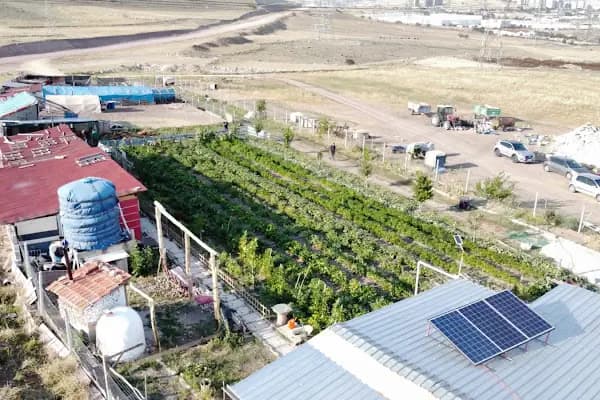 gürs kardeş kanatli hayvan çifliği - Hayvanat Bahçesi - Ankara Sincan