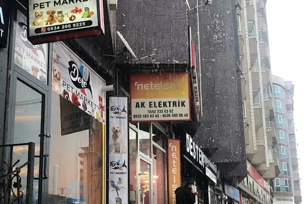 Şah Pet Shop - Evcil hayvan mağazası - Erzurum Yakutiye