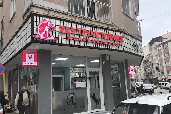 Zeytin Veteriner Kliniği Muayenehanesi - Veteriner - Bursa Orhangazi