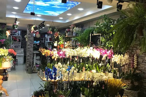 Denizli Mimoza Çiçekçilik - Denizli Çiçek Siparişi - Çiçekçi - Denizli Pamukkale