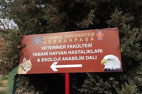 İstanbul Üniversitesi - Cerrahpaşa Veteriner Fakültesi, Yabani Hayvan Hastalıkları ve Ekoloji Anabilim Dalı - Üniversite - İstanbul Silivri