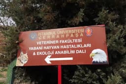 İstanbul Üniversitesi - Cerrahpaşa Veteriner Fakültesi, Yabani Hayvan Hastalıkları ve Ekoloji Anabilim Dalı