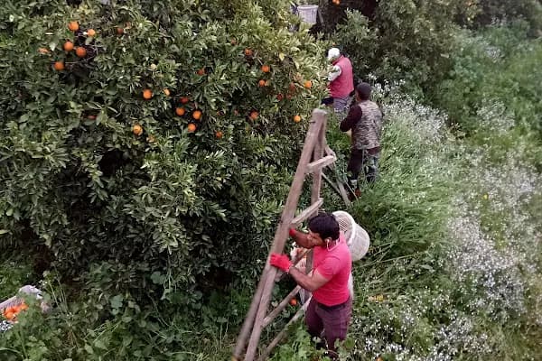 Çocuk Parkı - Park - Antalya Döşemealtı