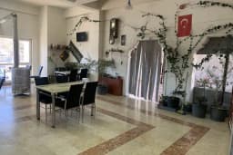 Zeytin Dalı Restorant