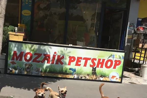 Mozaik Petshop - Evcil hayvan mağazası - Ankara Akyurt
