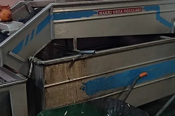 Nysa Olive Oil Zeytinyağı Fabrikası Satış Noktası - Zeytinyağı Üreticisi - Aydın Nazilli