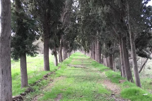 Pamuklu Dokuma Fabrikasi - Üretici - Balıkesir Erdek
