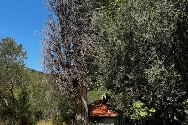 ÇANLI BABA TÜRBESİ - Kutsal Yer - Balıkesir Burhaniye