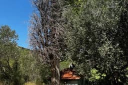 ÇANLI BABA TÜRBESİ