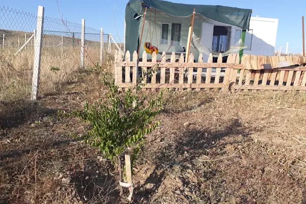 Özyeşil Hobi Bahçeleri - Tatil sitesi - Ankara Altındağ