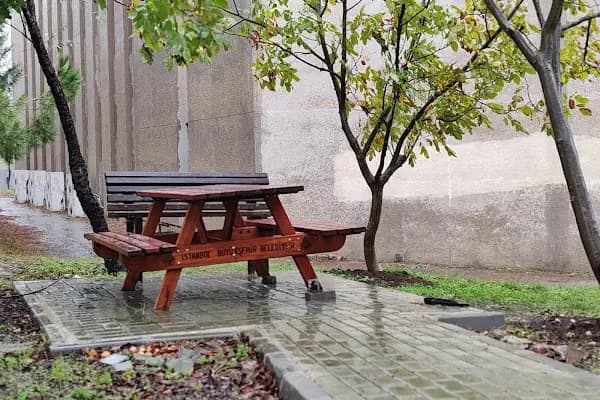 İstanbul üniversitesi dil merkezi - Kolej - İstanbul Avcılar