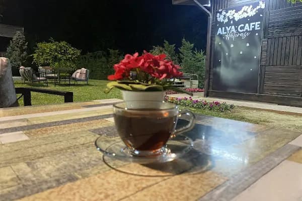 Bursa Büyükşehir Belediyespor Hüdavendigar Satranç Merkezi - Spor Kulübü - Bursa Büyükorhan