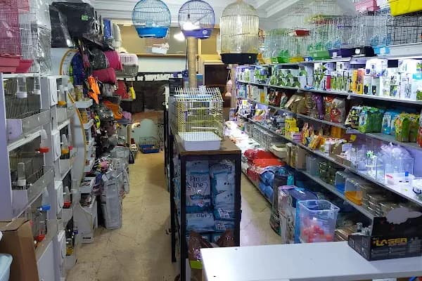 Hakan Akvaryum ve Pet Shop - Evcil hayvan mağazası - Bursa Mudanya
