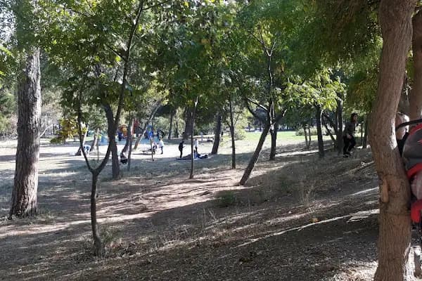 Atatürk ormanı çocuk park alanı - Park - İstanbul Ataşehir