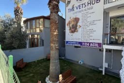 The Vets Hub Veteriner Kliniği